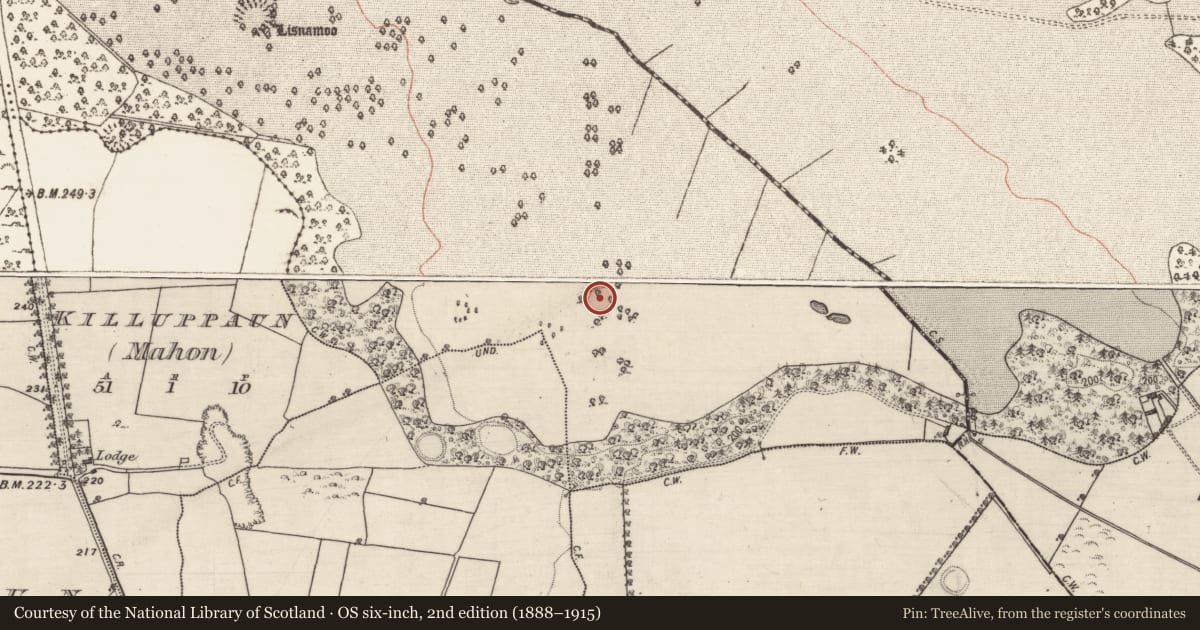Ordnance Survey six-inch map, 2nd edition (1888–1915) covering the location of Enclosure, Castlegar West, County Galway, with a pin at the register's coordinates