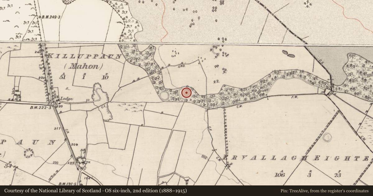 Ordnance Survey six-inch map, 2nd edition (1888–1915) covering the location of Ringfort - unclassified, Castlegar West, County Galway, with a pin at the register's coordinates