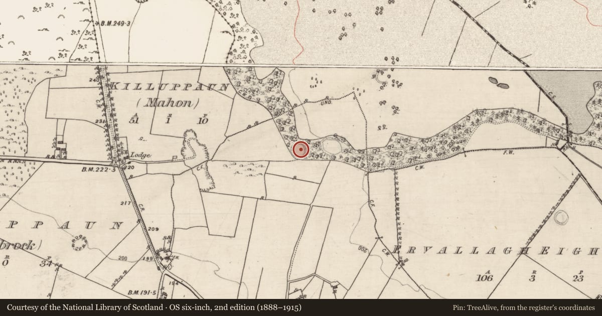 Ordnance Survey six-inch map, 2nd edition (1888–1915) covering the location of Enclosure, Castlegar West, Ervallagh Oughter, County Galway, with a pin at the register's coordinates