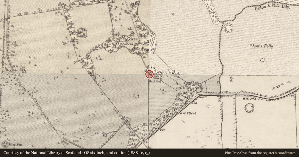 Ordnance Survey six-inch map, 2nd edition (1888–1915) covering the location of Ringfort - unclassified, Clonbrock Demesne, County Galway, with a pin at the register's coordinates