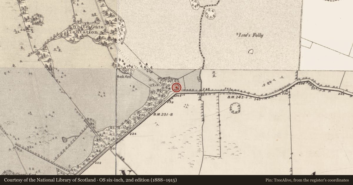 Ordnance Survey six-inch map, 2nd edition (1888–1915) covering the location of Enclosure, Clonbrock Demesne, County Galway, with a pin at the register's coordinates