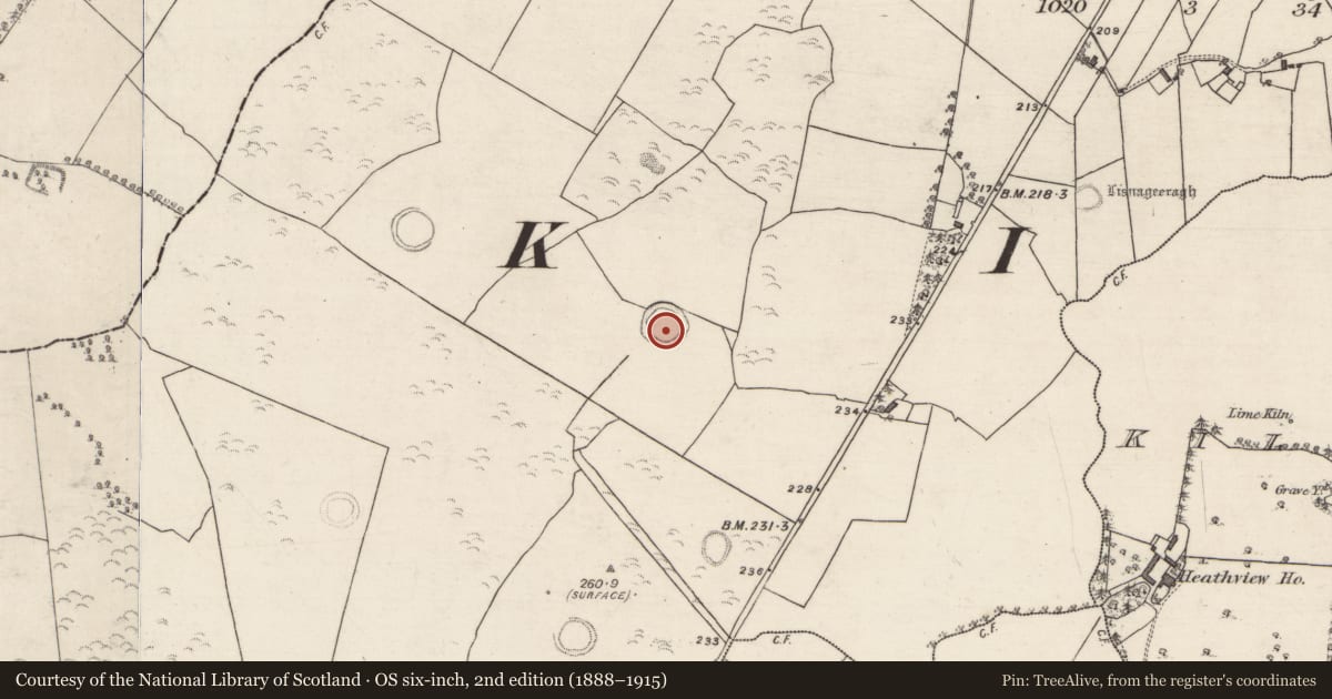 Ordnance Survey six-inch map, 2nd edition (1888–1915) covering the location of Ringfort - rath, Cloonigny, County Galway, with a pin at the register's coordinates
