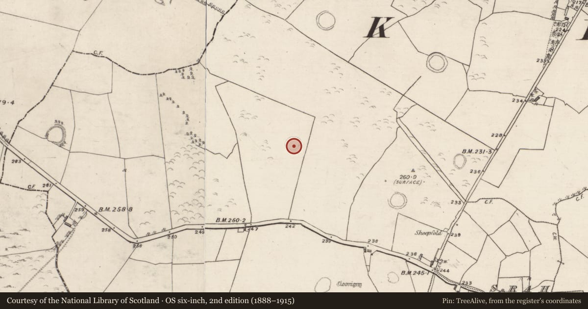 Ordnance Survey six-inch map, 2nd edition (1888–1915) covering the location of Ringfort - rath, Cloonigny, County Galway, with a pin at the register's coordinates