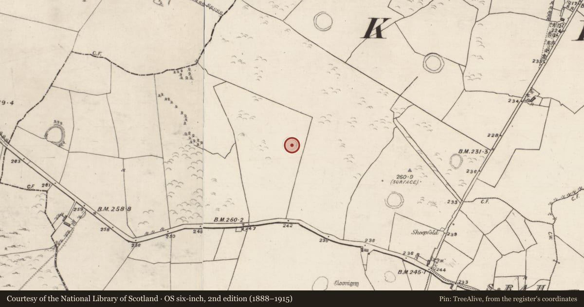 Ordnance Survey six-inch map, 2nd edition (1888–1915) covering the location of Souterrain, Cloonigny, County Galway, with a pin at the register's coordinates
