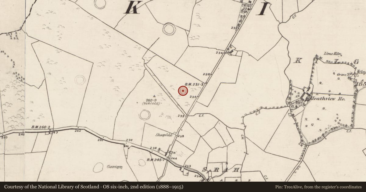 Ordnance Survey six-inch map, 2nd edition (1888–1915) covering the location of Ringfort - rath, Cloonigny, County Galway, with a pin at the register's coordinates