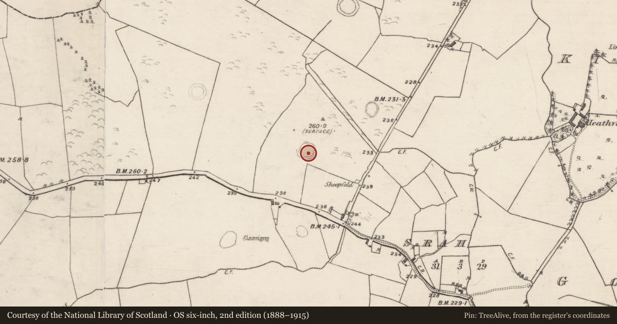 Ordnance Survey six-inch map, 2nd edition (1888–1915) covering the location of Ringfort - unclassified, Cloonigny, County Galway, with a pin at the register's coordinates