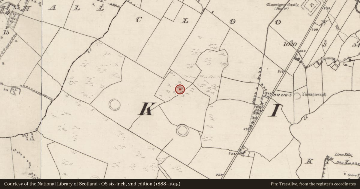 Ordnance Survey six-inch map, 2nd edition (1888–1915) covering the location of Quarry, Cloonigny, County Galway, with a pin at the register's coordinates