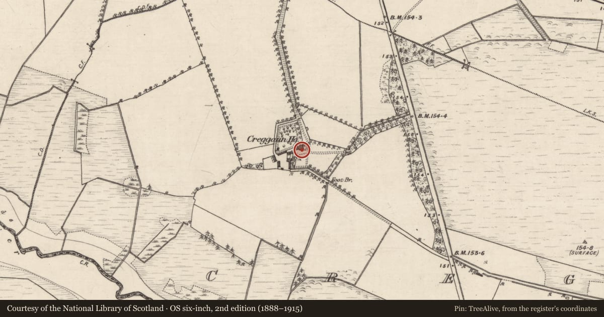 Ordnance Survey six-inch map, 2nd edition (1888–1915) covering the location of House - 18th/19th century, Creggaun, County Galway, with a pin at the register's coordinates