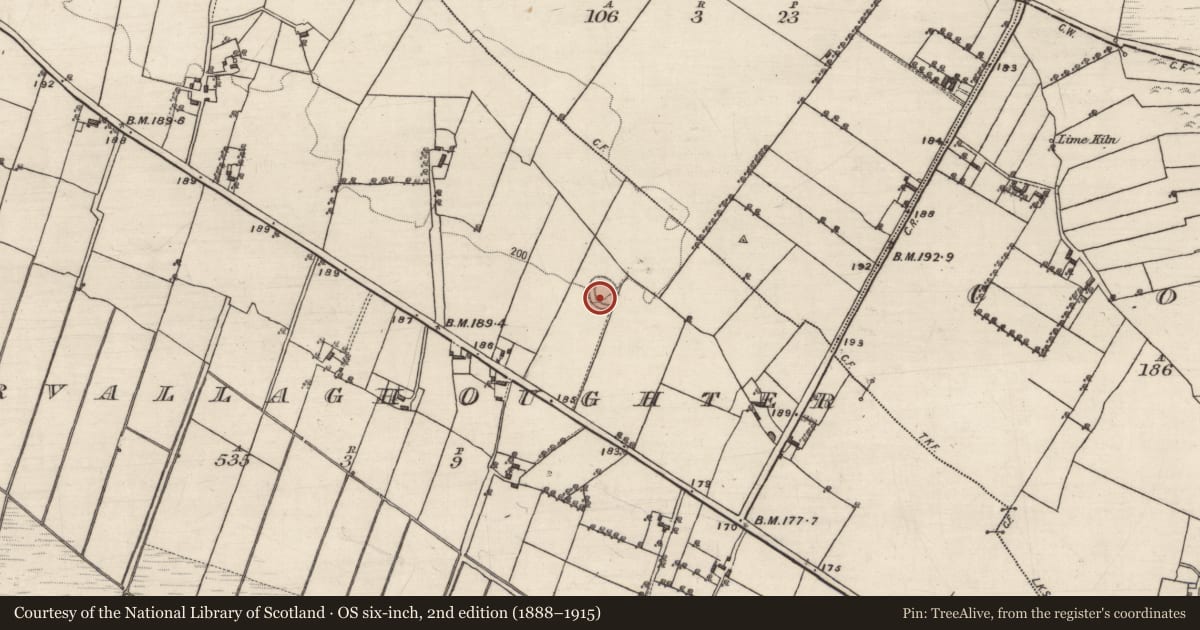 Ordnance Survey six-inch map, 2nd edition (1888–1915) covering the location of Ringfort - rath, Ervallagh Oughter, County Galway, with a pin at the register's coordinates