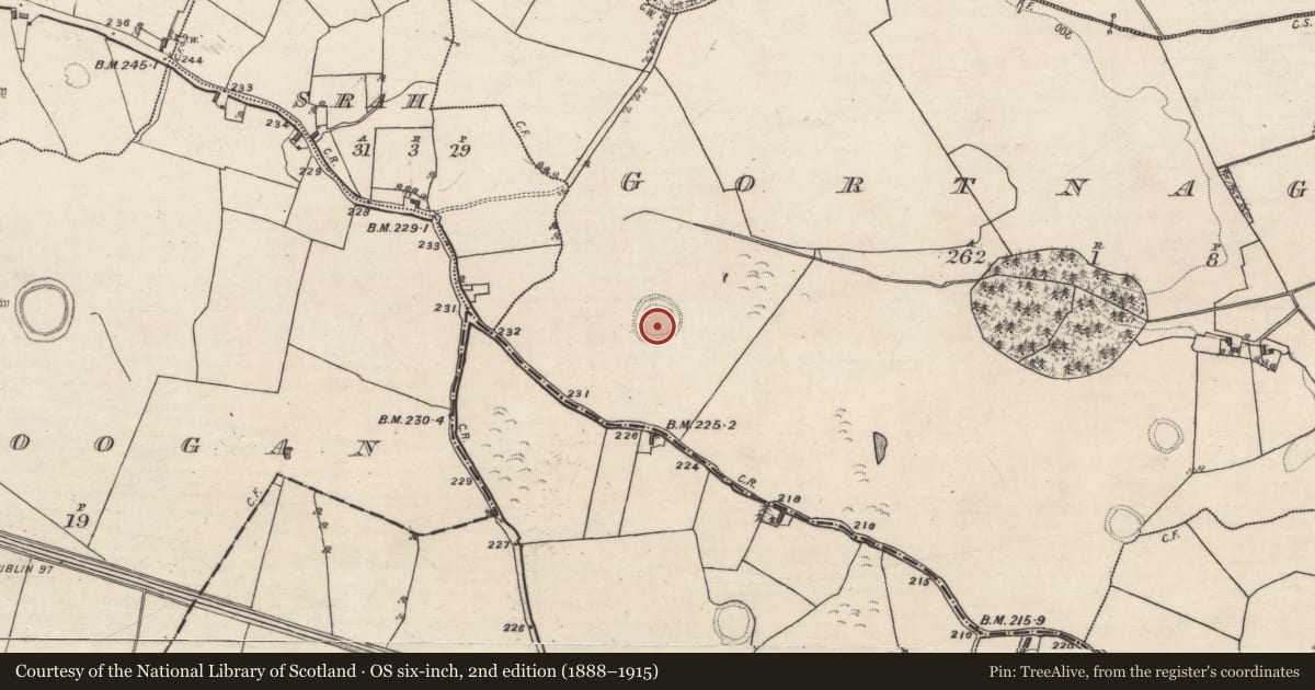 Ordnance Survey six-inch map, 2nd edition (1888–1915) covering the location of Ringfort - unclassified, Gortnaglogh, County Galway, with a pin at the register's coordinates