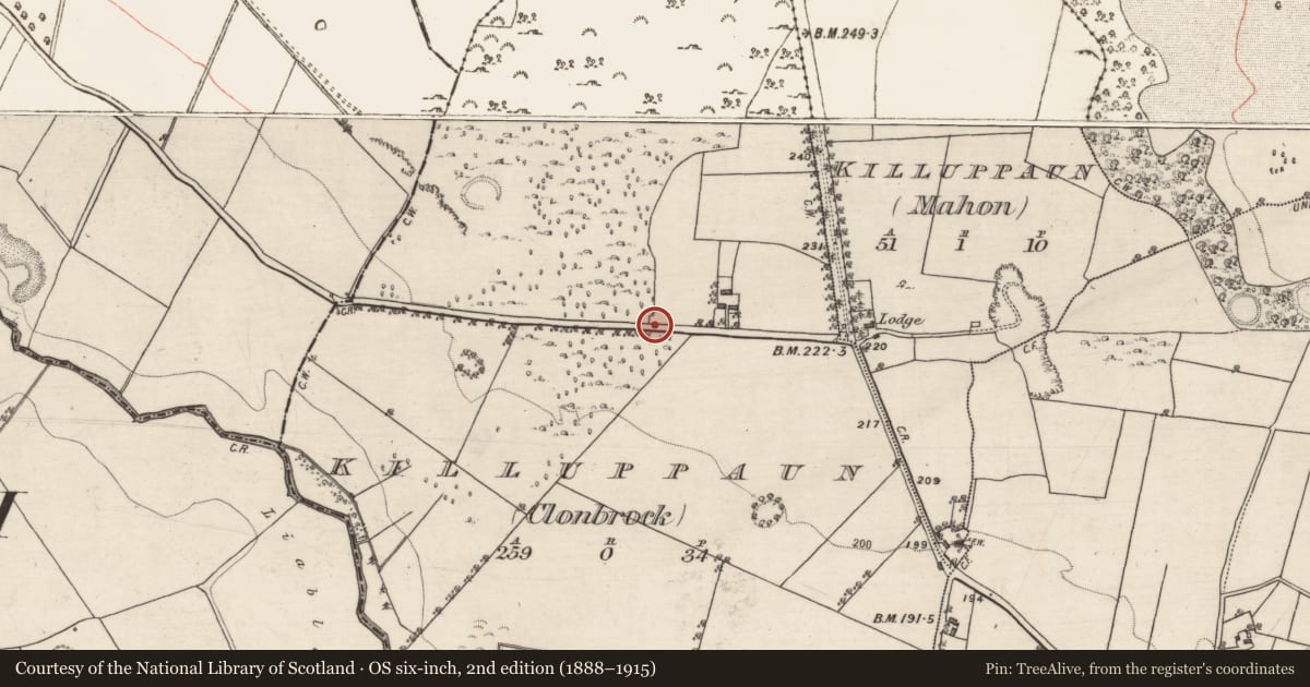 Ordnance Survey six-inch map, 2nd edition (1888–1915) covering the location of Ringfort - unclassified, Killuppaun (Clonbrock), County Galway, with a pin at the register's coordinates