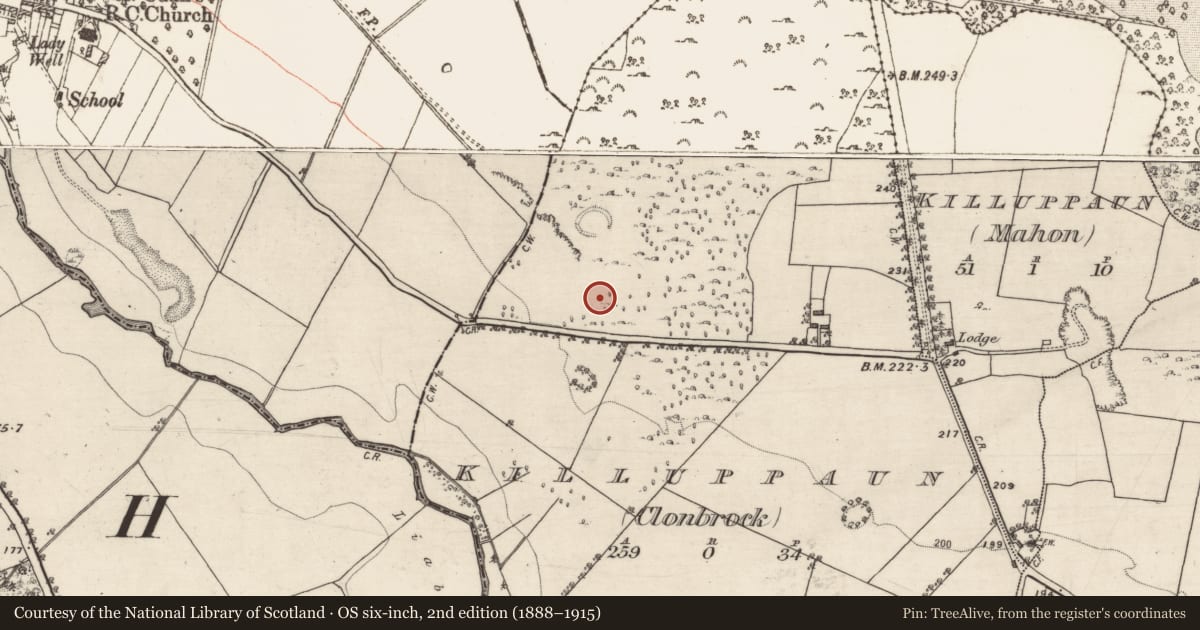 Ordnance Survey six-inch map, 2nd edition (1888–1915) covering the location of Quarry, Killuppaun (Clonbrock), County Galway, with a pin at the register's coordinates