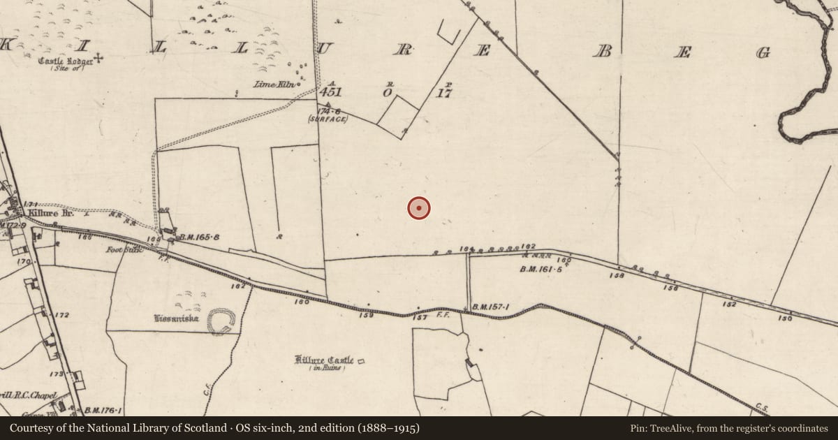Ordnance Survey six-inch map, 2nd edition (1888–1915) covering the location of Children's burial ground, Killure Beg, County Galway, with a pin at the register's coordinates