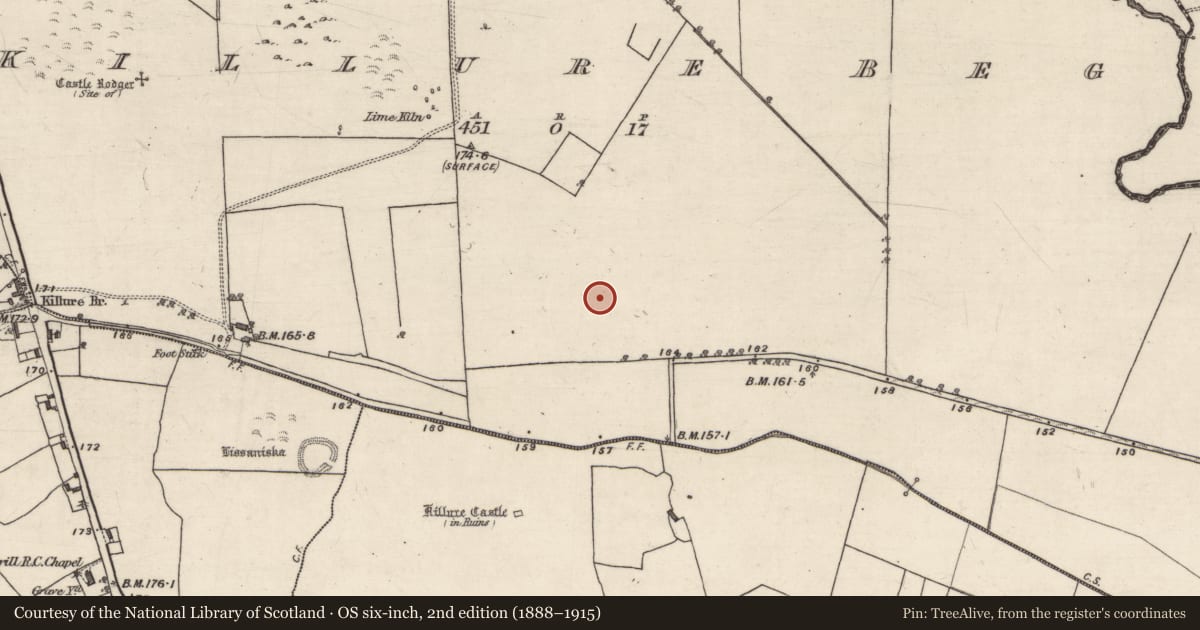 Ordnance Survey six-inch map, 2nd edition (1888–1915) covering the location of Ecclesiastical enclosure, Killure Beg, County Galway, with a pin at the register's coordinates