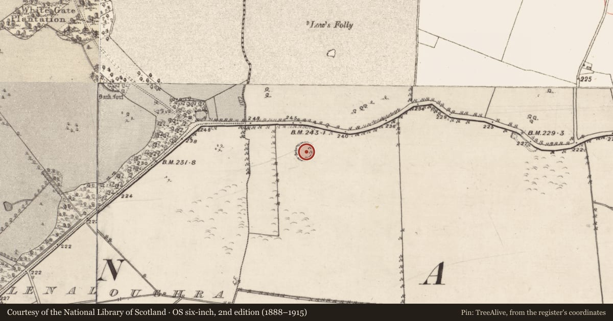 Ordnance Survey six-inch map, 2nd edition (1888–1915) covering the location of Ringfort - unclassified, Lowville, County Galway, with a pin at the register's coordinates