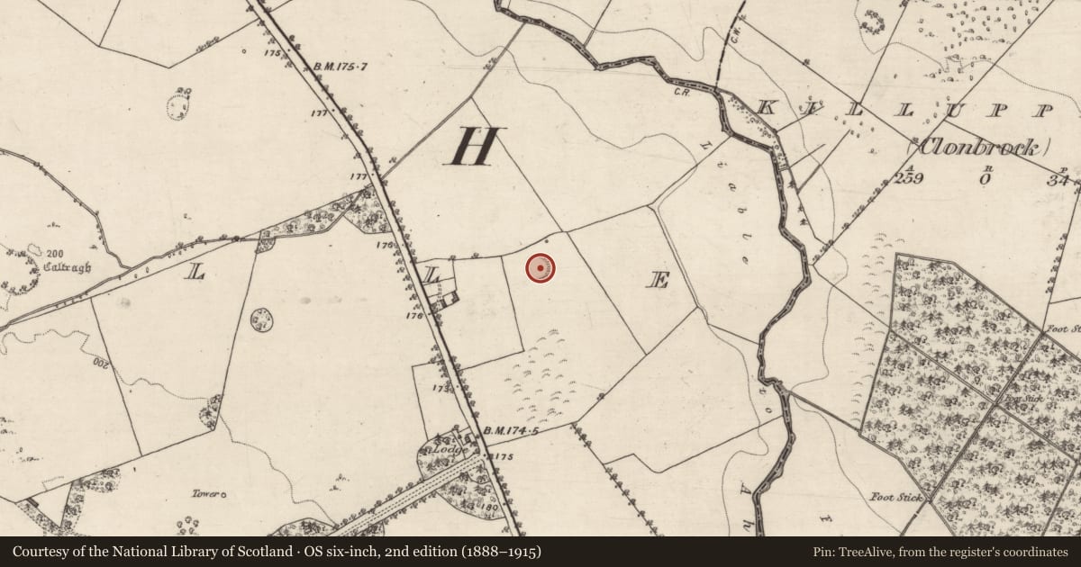 Ordnance Survey six-inch map, 2nd edition (1888–1915) covering the location of Enclosure, Lowville, County Galway, with a pin at the register's coordinates