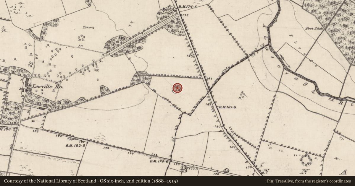 Ordnance Survey six-inch map, 2nd edition (1888–1915) covering the location of Enclosure, Lowville, County Galway, with a pin at the register's coordinates