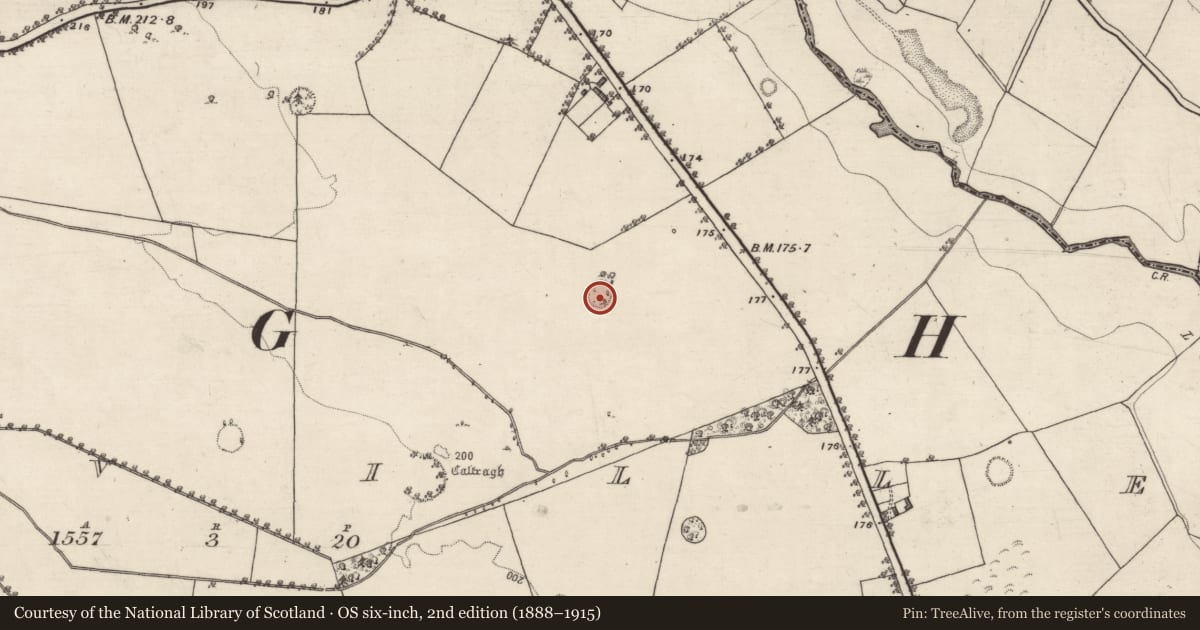 Ordnance Survey six-inch map, 2nd edition (1888–1915) covering the location of Enclosure, Lowville, County Galway, with a pin at the register's coordinates