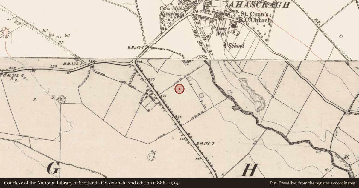 Ordnance Survey six-inch map, 2nd edition (1888–1915) covering the location of Quarry, Lowville, County Galway, with a pin at the register's coordinates