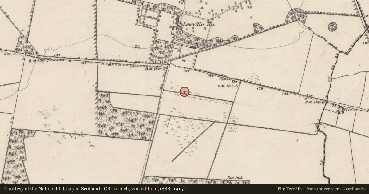 Ordnance Survey six-inch map, 2nd edition (1888–1915) covering the location of Fulacht fia, Lowville, County Galway, with a pin at the register's coordinates
