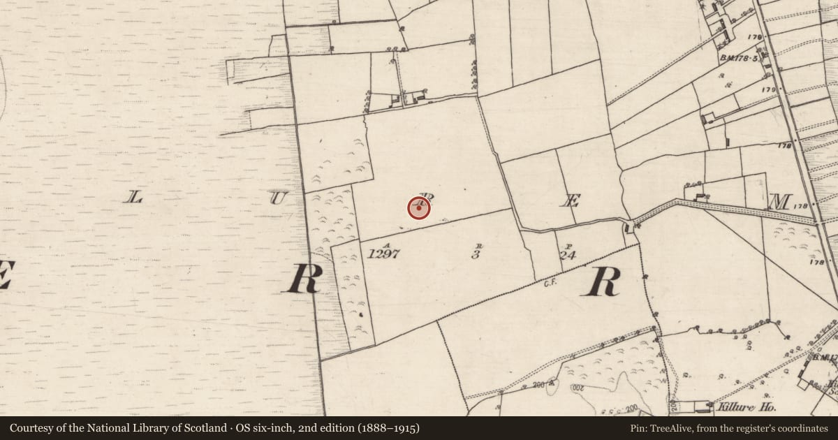 Ordnance Survey six-inch map, 2nd edition (1888–1915) covering the location of Fulacht fia, Killure More, County Galway, with a pin at the register's coordinates