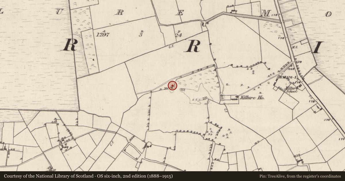 Ordnance Survey six-inch map, 2nd edition (1888–1915) covering the location of Children's burial ground, Lenafin, County Galway, with a pin at the register's coordinates