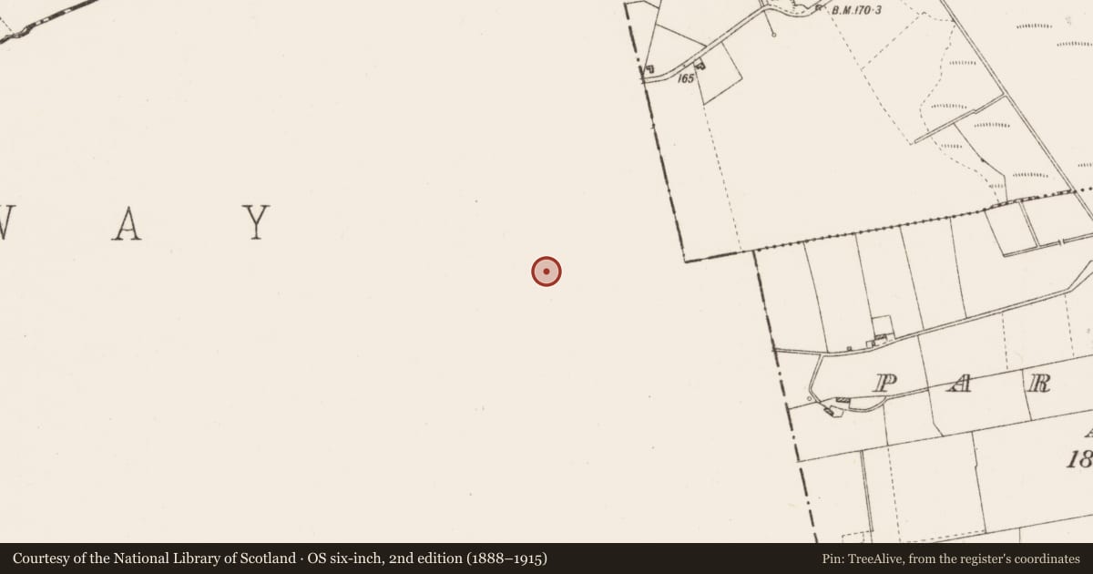 Ordnance Survey six-inch map, 2nd edition (1888–1915) covering the location of Ringfort - unclassified, Atticorra, Parkmore, County Galway, with a pin at the register's coordinates