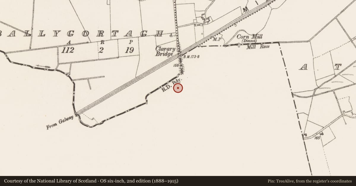 Ordnance Survey six-inch map, 2nd edition (1888–1915) covering the location of Castle - unclassified, Creagh, County Galway, with a pin at the register's coordinates