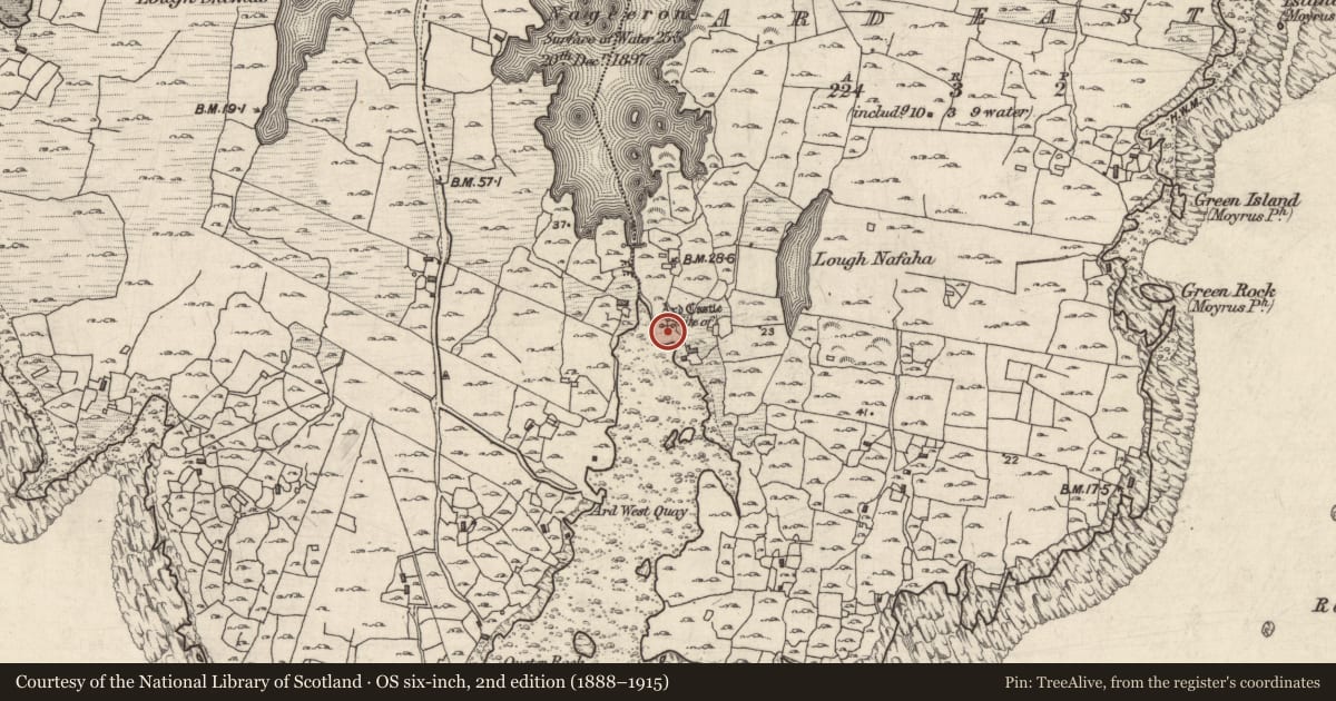 Ordnance Survey six-inch map, 2nd edition (1888–1915) covering the location of Bawn, An Aird Thoir, County Galway, with a pin at the register's coordinates