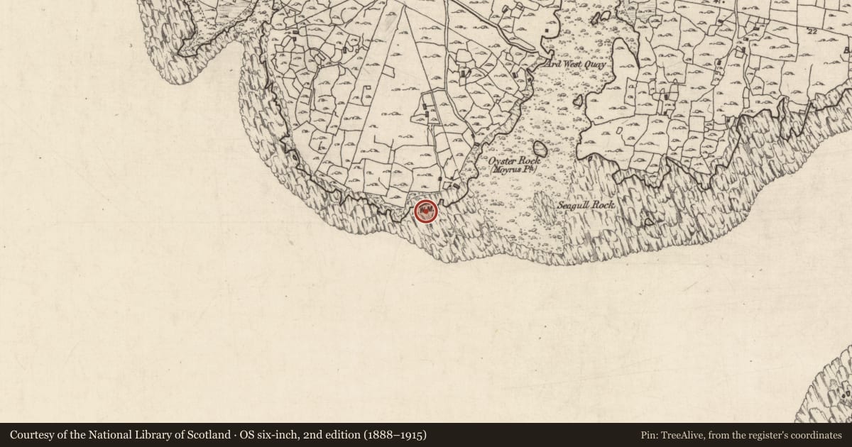 Ordnance Survey six-inch map, 2nd edition (1888–1915) covering the location of Ritual site - holy well, An Aird Thiar, County Galway, with a pin at the register's coordinates