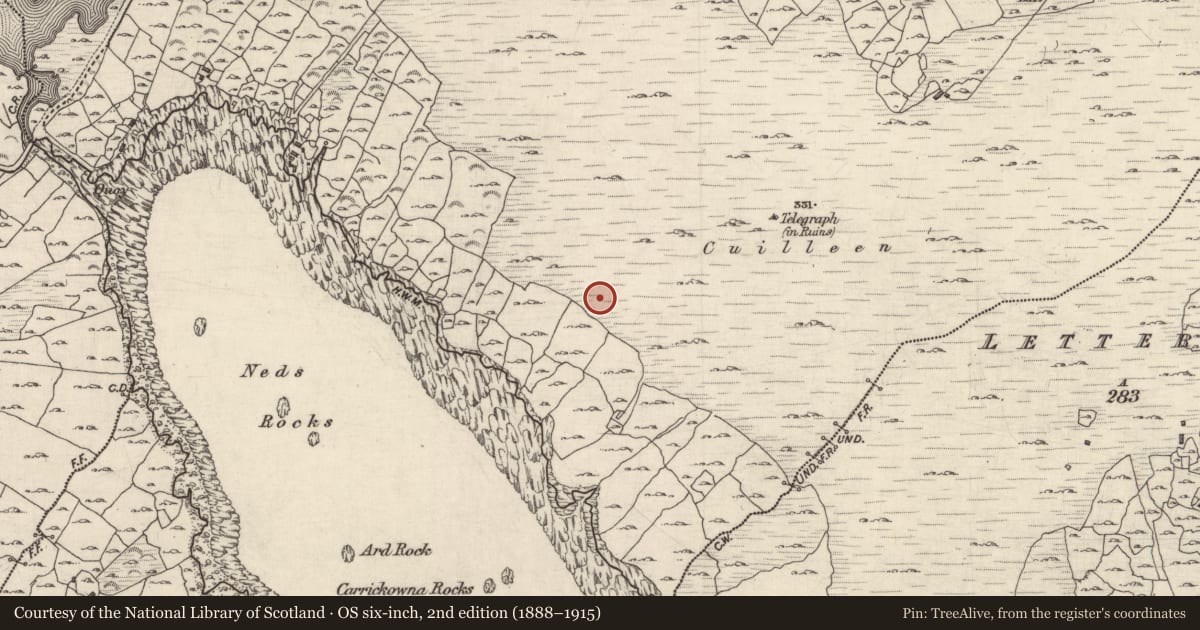Ordnance Survey six-inch map, 2nd edition (1888–1915) covering the location of Ritual site - holy well, An Coillín, County Galway, with a pin at the register's coordinates