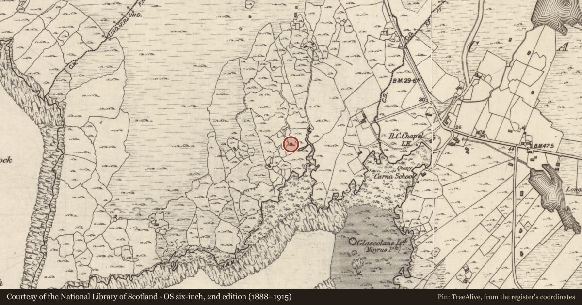 Ordnance Survey six-inch map, 2nd edition (1888–1915) covering the location of Ritual site - holy well, Leitir Deiscirt, County Galway, with a pin at the register's coordinates