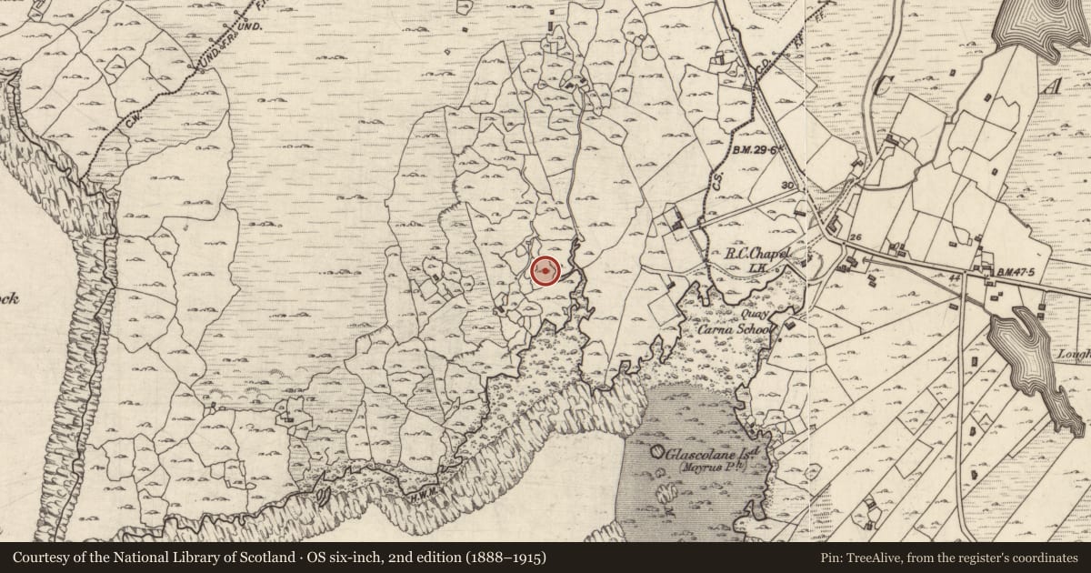 Ordnance Survey six-inch map, 2nd edition (1888–1915) covering the location of Leacht, Leitir Deiscirt, County Galway, with a pin at the register's coordinates