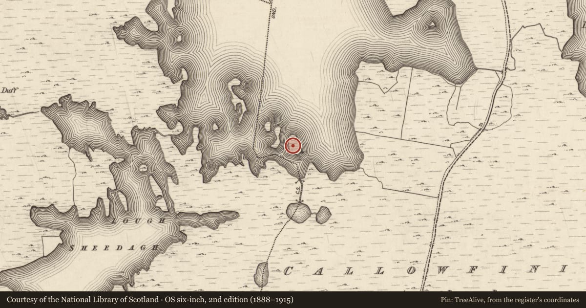 Ordnance Survey six-inch map, 2nd edition (1888–1915) covering the location of Hut site, Caladh Mhaínse, County Galway, with a pin at the register's coordinates