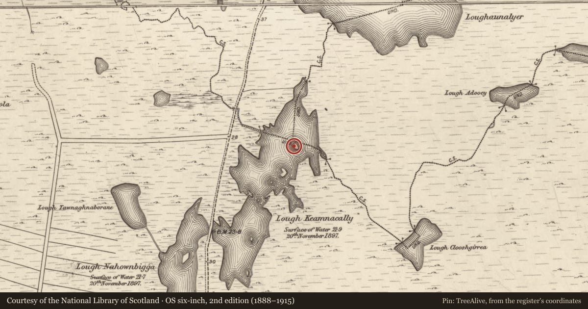 Ordnance Survey six-inch map, 2nd edition (1888–1915) covering the location of Crannog, Carna, County Galway, with a pin at the register's coordinates