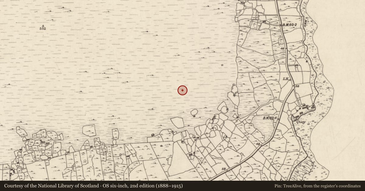 Ordnance Survey six-inch map, 2nd edition (1888–1915) covering the location of Ritual site - holy well, Cill Chiaráin, County Galway, with a pin at the register's coordinates