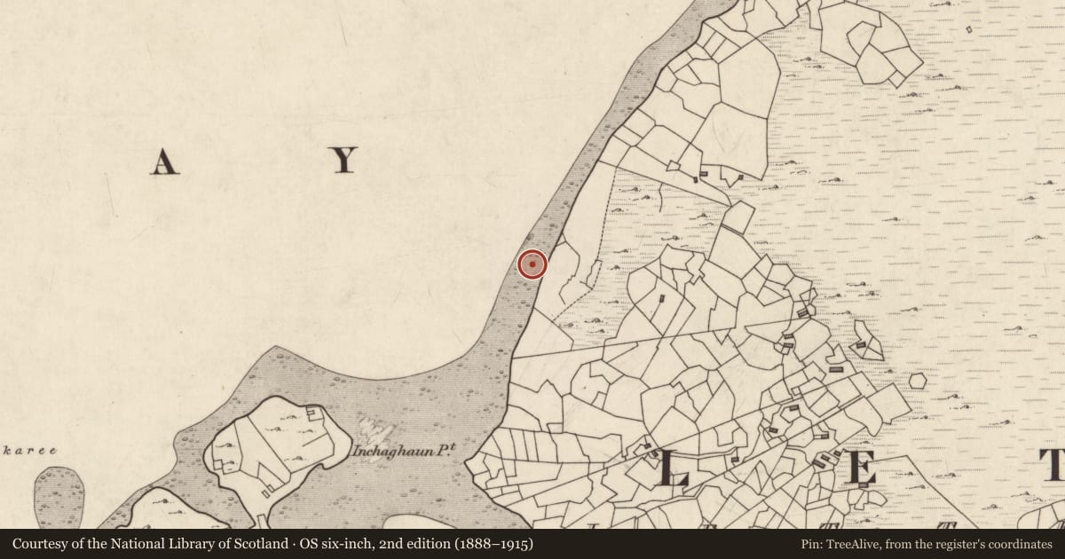 Ordnance Survey six-inch map, 2nd edition (1888–1915) covering the location of Ritual site - holy well, Leitir Calaidh, County Galway, with a pin at the register's coordinates