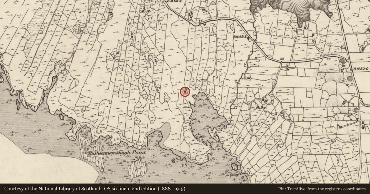 Ordnance Survey six-inch map, 2nd edition (1888–1915) covering the location of Ritual site - holy well, Roisín Na Mainiach, County Galway, with a pin at the register's coordinates