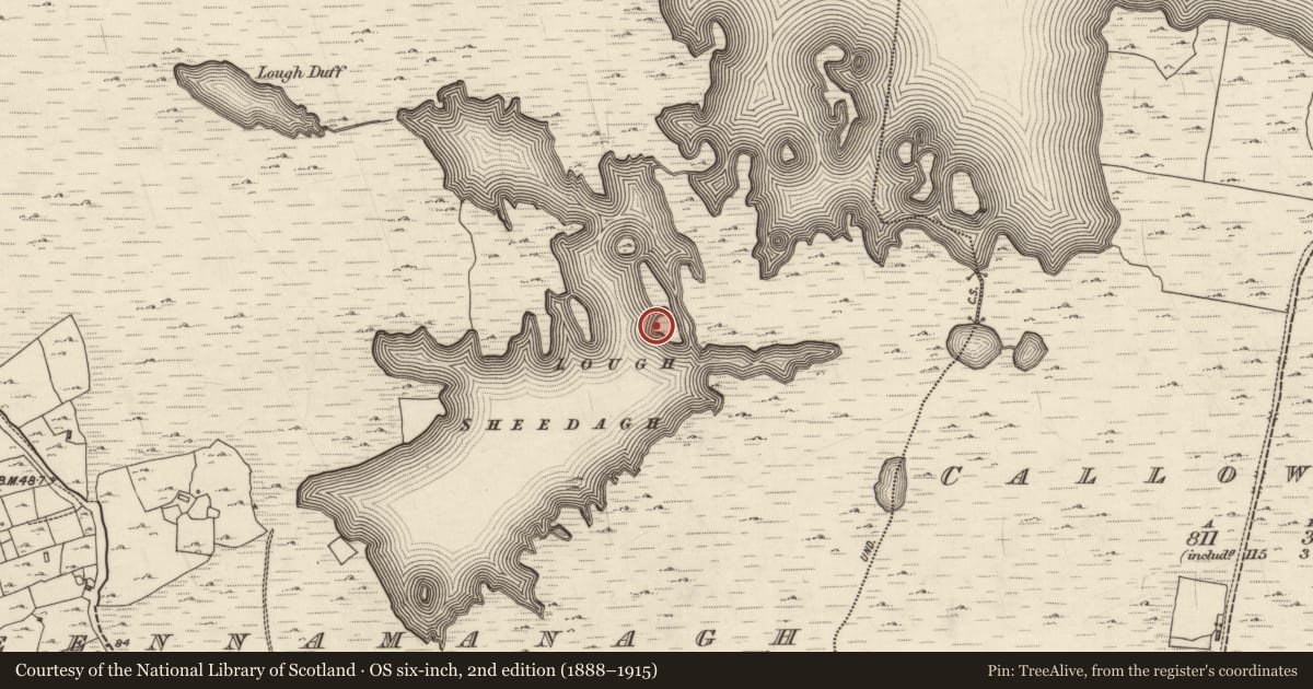 Ordnance Survey six-inch map, 2nd edition (1888–1915) covering the location of House - indeterminate date, Roisín Na Mainiach, County Galway, with a pin at the register's coordinates