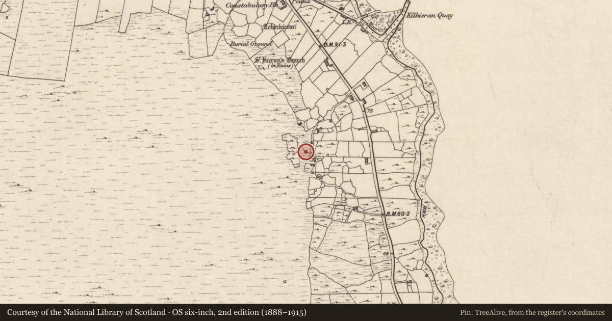 Ordnance Survey six-inch map, 2nd edition (1888–1915) covering the location of Kiln - corn-drying, Cill Chiaráin, County Galway, with a pin at the register's coordinates