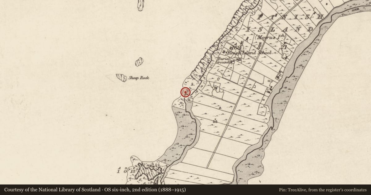 Ordnance Survey six-inch map, 2nd edition (1888–1915) covering the location of Kiln - lime, Fínis, County Galway, with a pin at the register's coordinates