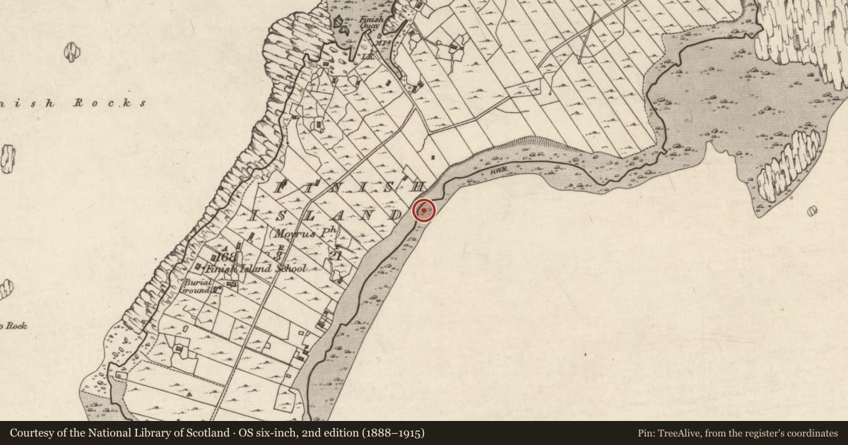 Ordnance Survey six-inch map, 2nd edition (1888–1915) covering the location of Ritual site - holy well, Fínis, County Galway, with a pin at the register's coordinates
