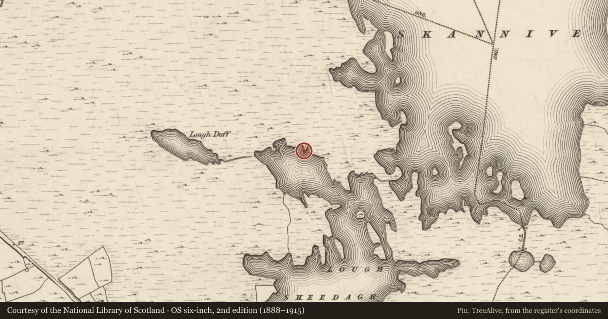 Ordnance Survey six-inch map, 2nd edition (1888–1915) covering the location of Crannog, Roisín Na Mainiach, County Galway, with a pin at the register's coordinates