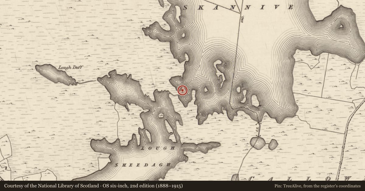 Ordnance Survey six-inch map, 2nd edition (1888–1915) covering the location of Crannog, Roisín Na Mainiach, County Galway, with a pin at the register's coordinates