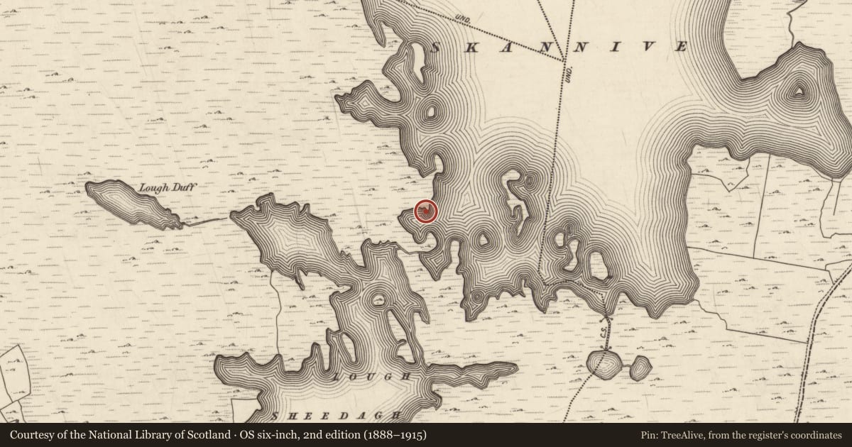 Ordnance Survey six-inch map, 2nd edition (1888–1915) covering the location of Pier/Jetty, Roisín Na Mainiach, County Galway, with a pin at the register's coordinates