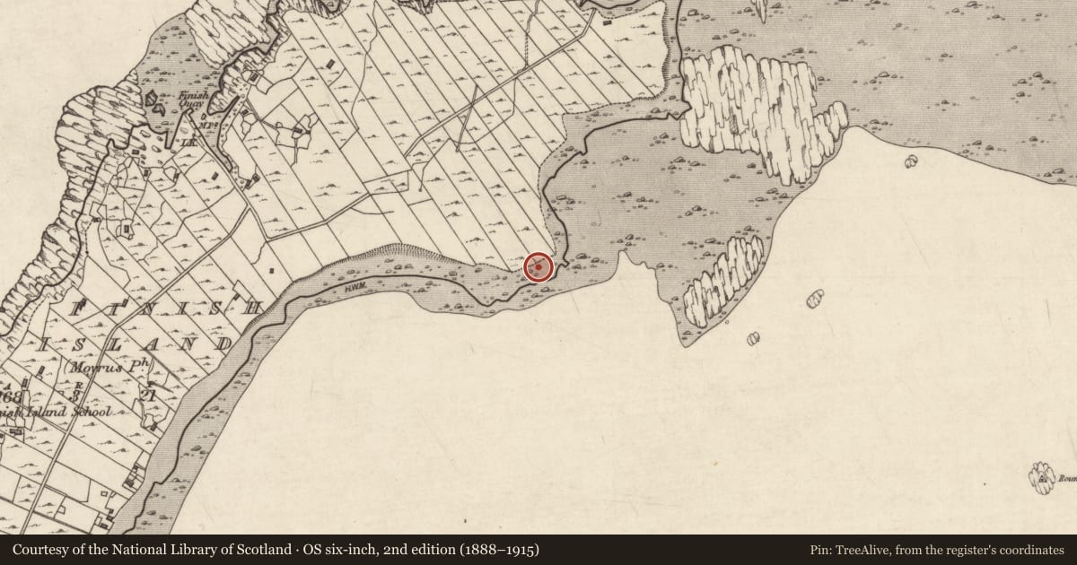 Ordnance Survey six-inch map, 2nd edition (1888–1915) covering the location of Midden, Fínis, County Galway, with a pin at the register's coordinates