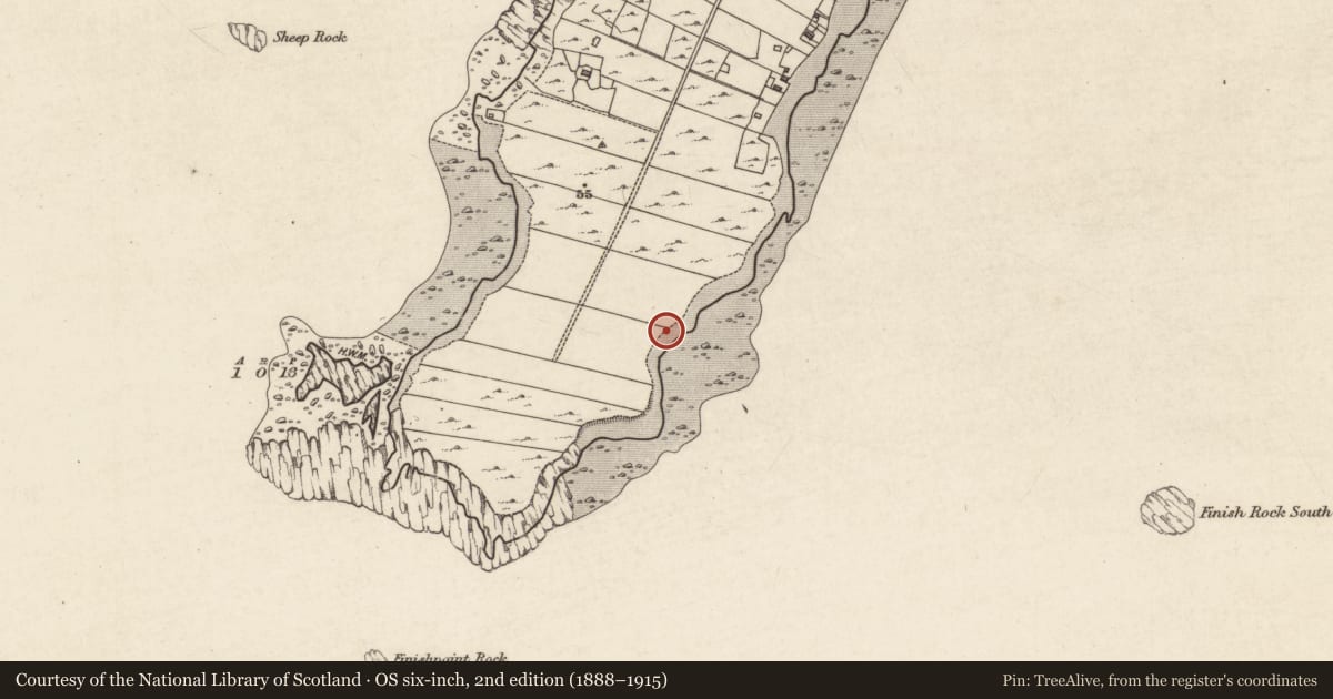 Ordnance Survey six-inch map, 2nd edition (1888–1915) covering the location of Field boundary, Fínis, County Galway, with a pin at the register's coordinates