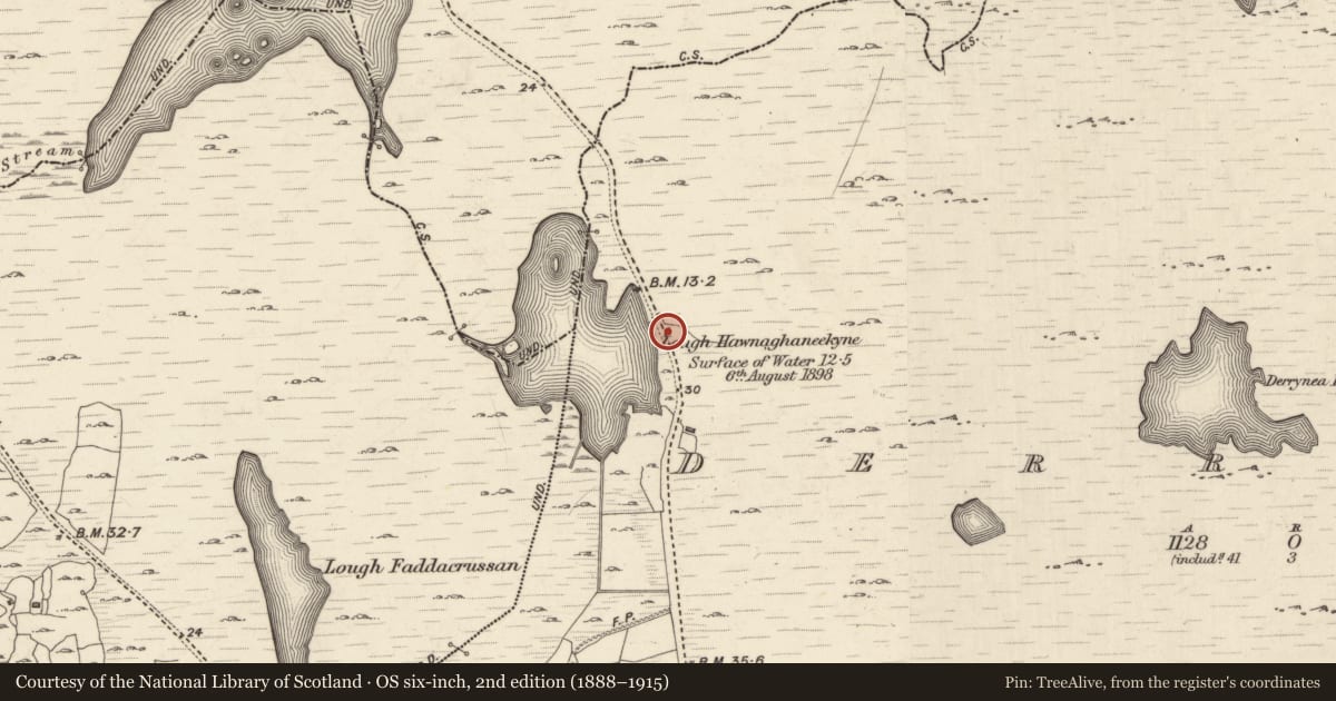 Ordnance Survey six-inch map, 2nd edition (1888–1915) covering the location of Ritual site - holy well, Doire An Fhéich, County Galway, with a pin at the register's coordinates