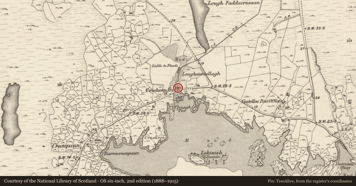 Ordnance Survey six-inch map, 2nd edition (1888–1915) covering the location of Children's burial ground, Doire An Fhéich, County Galway, with a pin at the register's coordinates