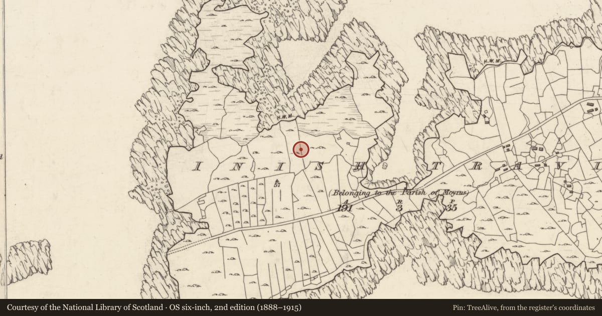 Ordnance Survey six-inch map, 2nd edition (1888–1915) covering the location of Children's burial ground, Inish Travin, County Galway, with a pin at the register's coordinates